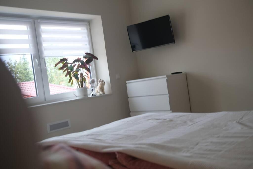 Ferienwohnung Arendsee Arendsee  Zewnętrze zdjęcie